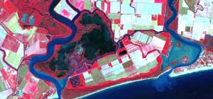 dati satellitari