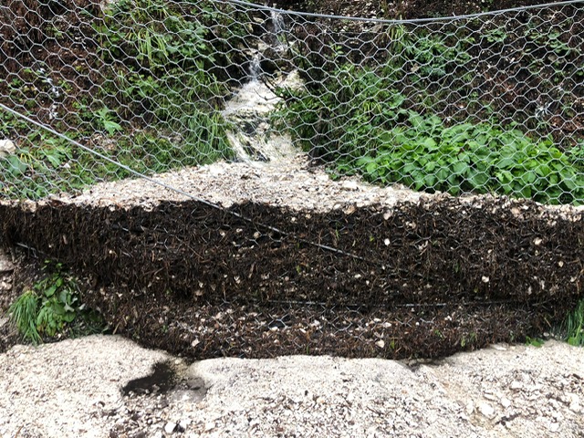 image10