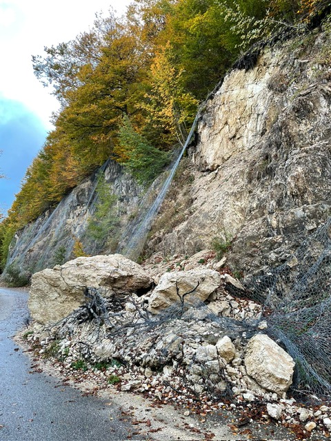 image19