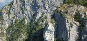 Rocce