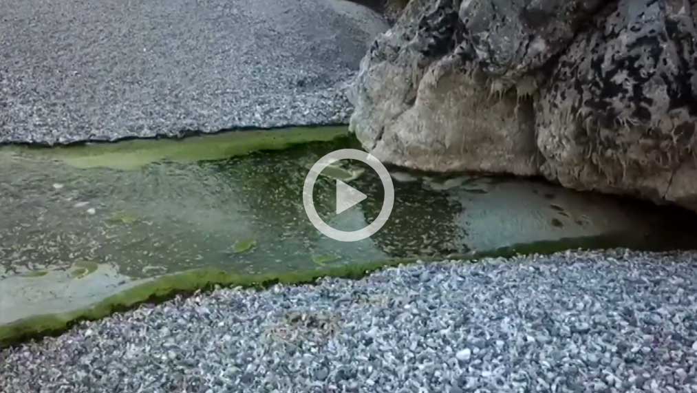 Andrea Mocchiutti Tagliamento Udine Today