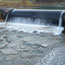 image10
