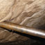 image11