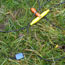 image05