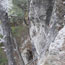 image09